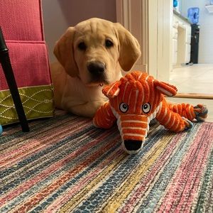 Meet your Posher, Lindsay